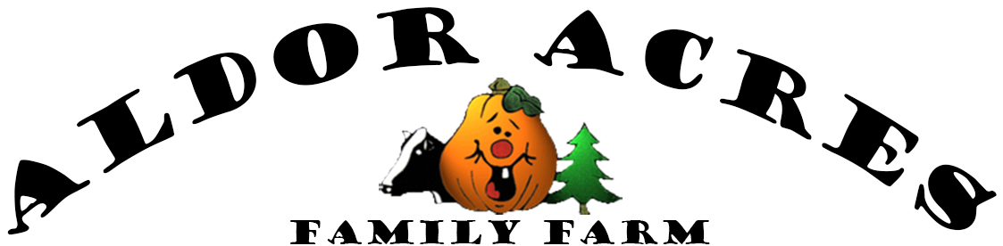 Boy Scouts Of America (1147x296)