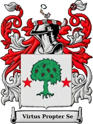 Looby Family - Sloan Coat Of Arms (300x400)