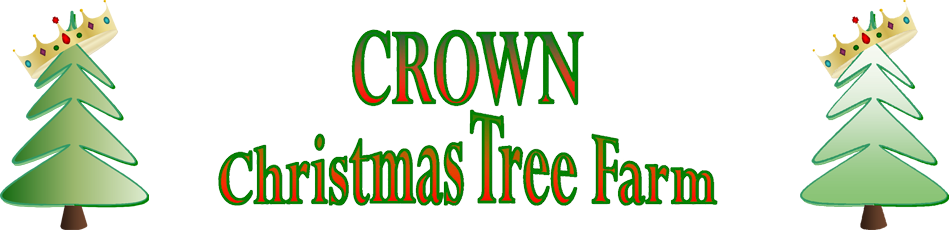 Trees - Parallel (950x230)