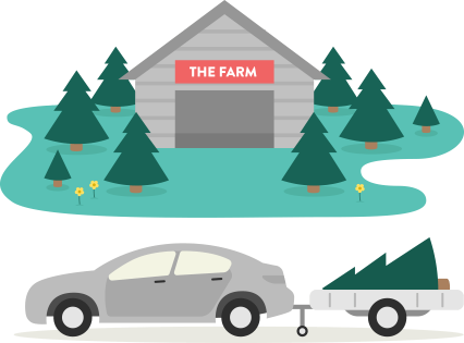 Explore Our Christmas Tree Farm - Christmas Tree (426x315)