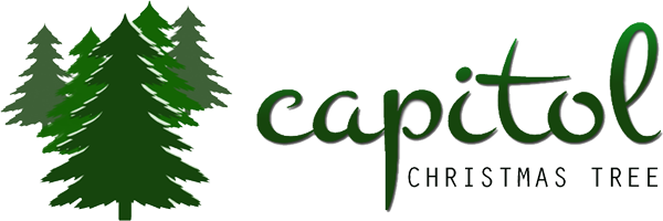 Capitolchristmastree2012 - Org Capitolchristmastree2012 - Calligraphy (600x200)