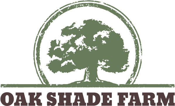 View Gallery - Festival (605x375)