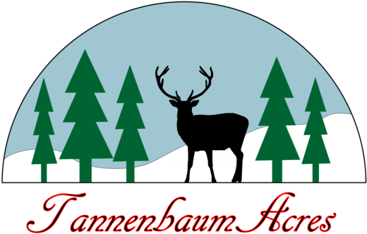 Photos - Secrets Of The Apostles By W. C. Hinzie (568x426)