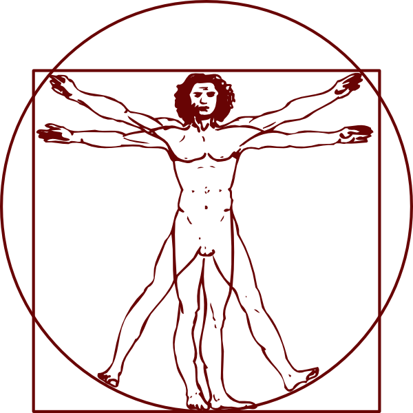 Vitruvian Clip Art - Vitruvian Man Clipart (600x600)