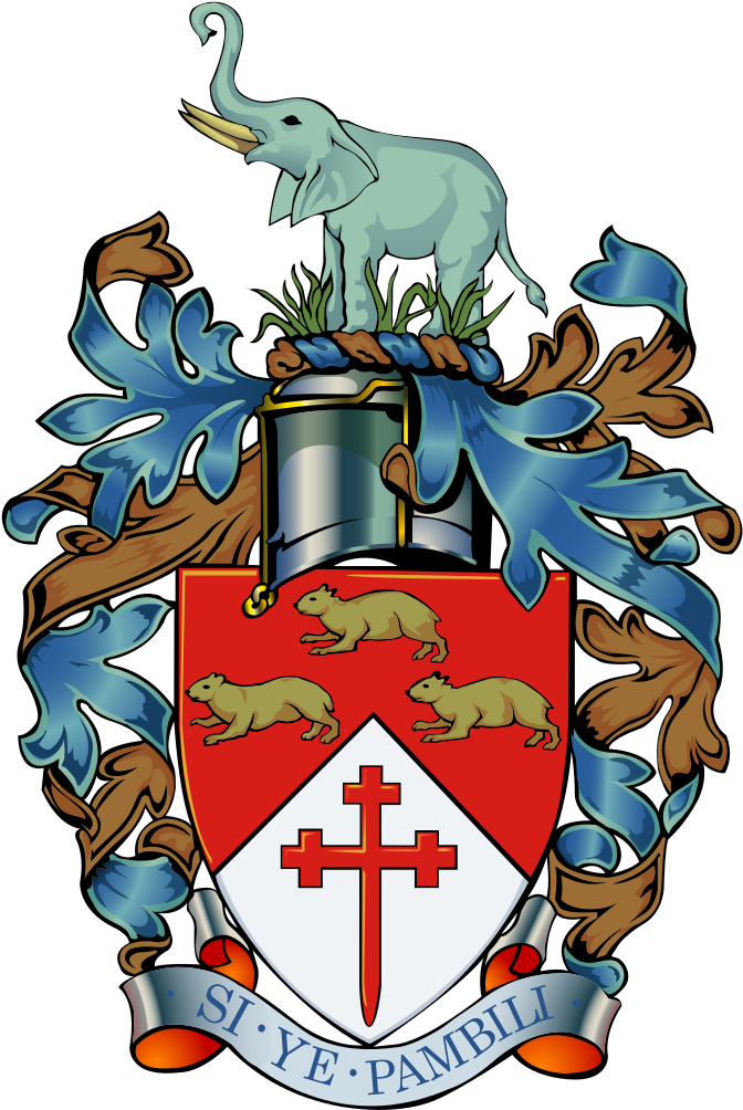 Currentthe Coat Of Arms Of Bulawayo - Bulawayo City Council (705x1034)