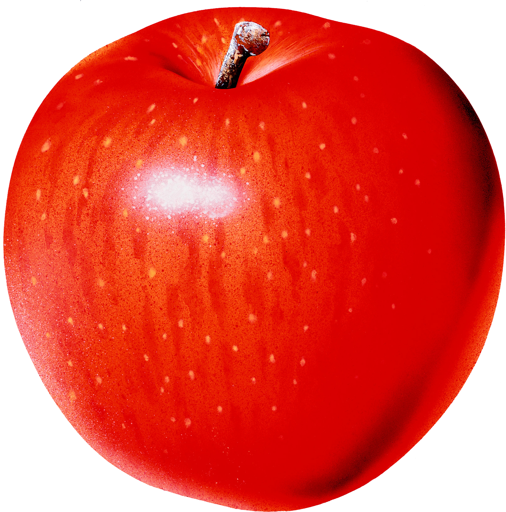 Apple Image Clipart Png (1620x1639)
