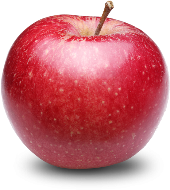 Red Apple Png Photos - Apple Fruit Transparent (744x744)