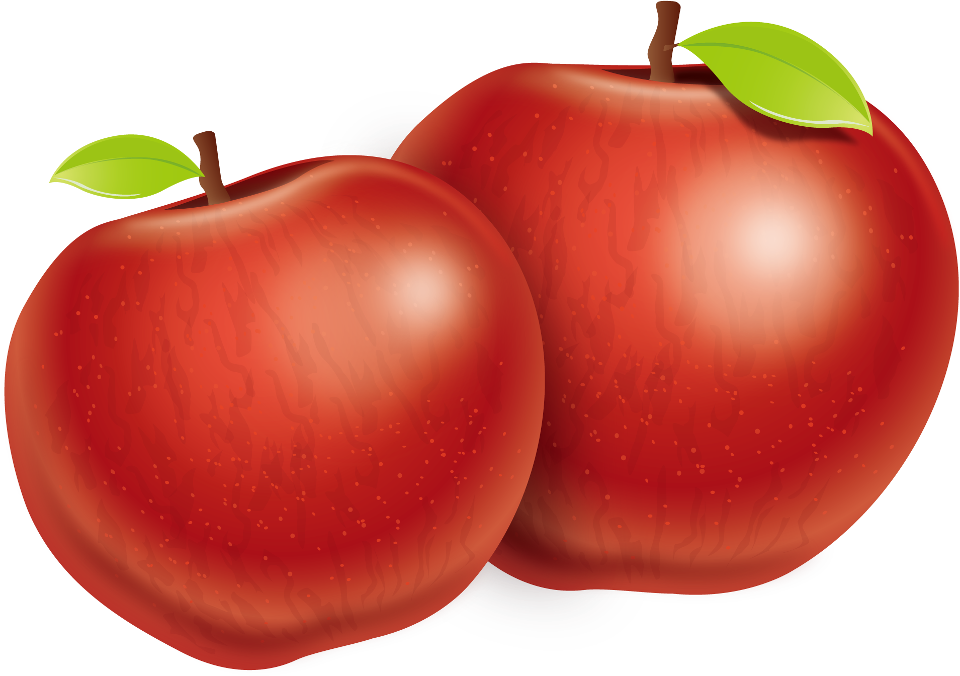Plum Tomato Apple Fuji - Two Apples Png (2181x1500)
