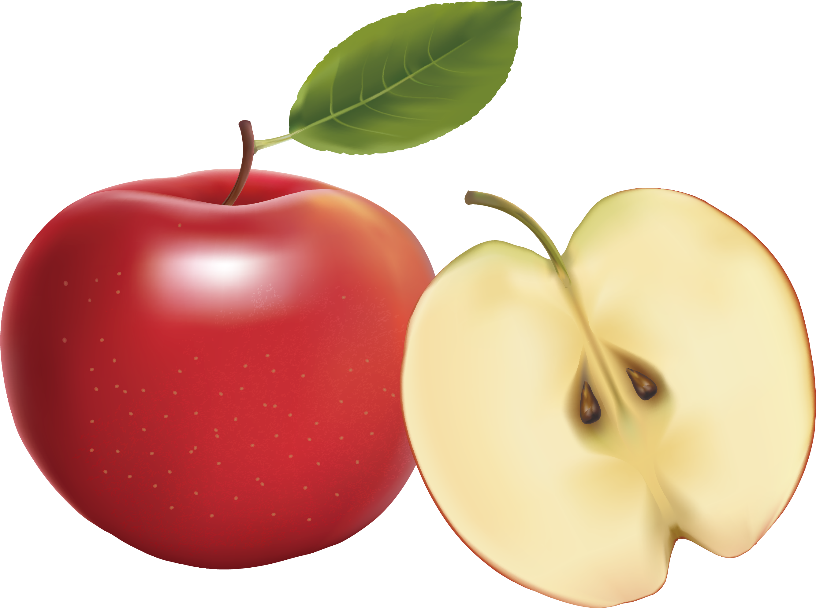 Apple Euclidean Vector Vecteur - Euclidean Vector (2666x2138)