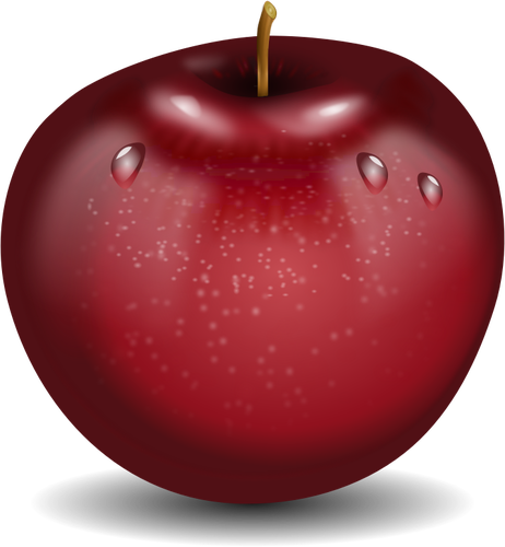 Vector Drawing Of Photorealistic Red Wet Apple - Acid Alkaline Diet Journal (462x500)