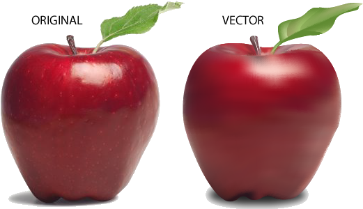 Adobe Illustrator Vector Apple - Advantages Of Raw Food (575x359)