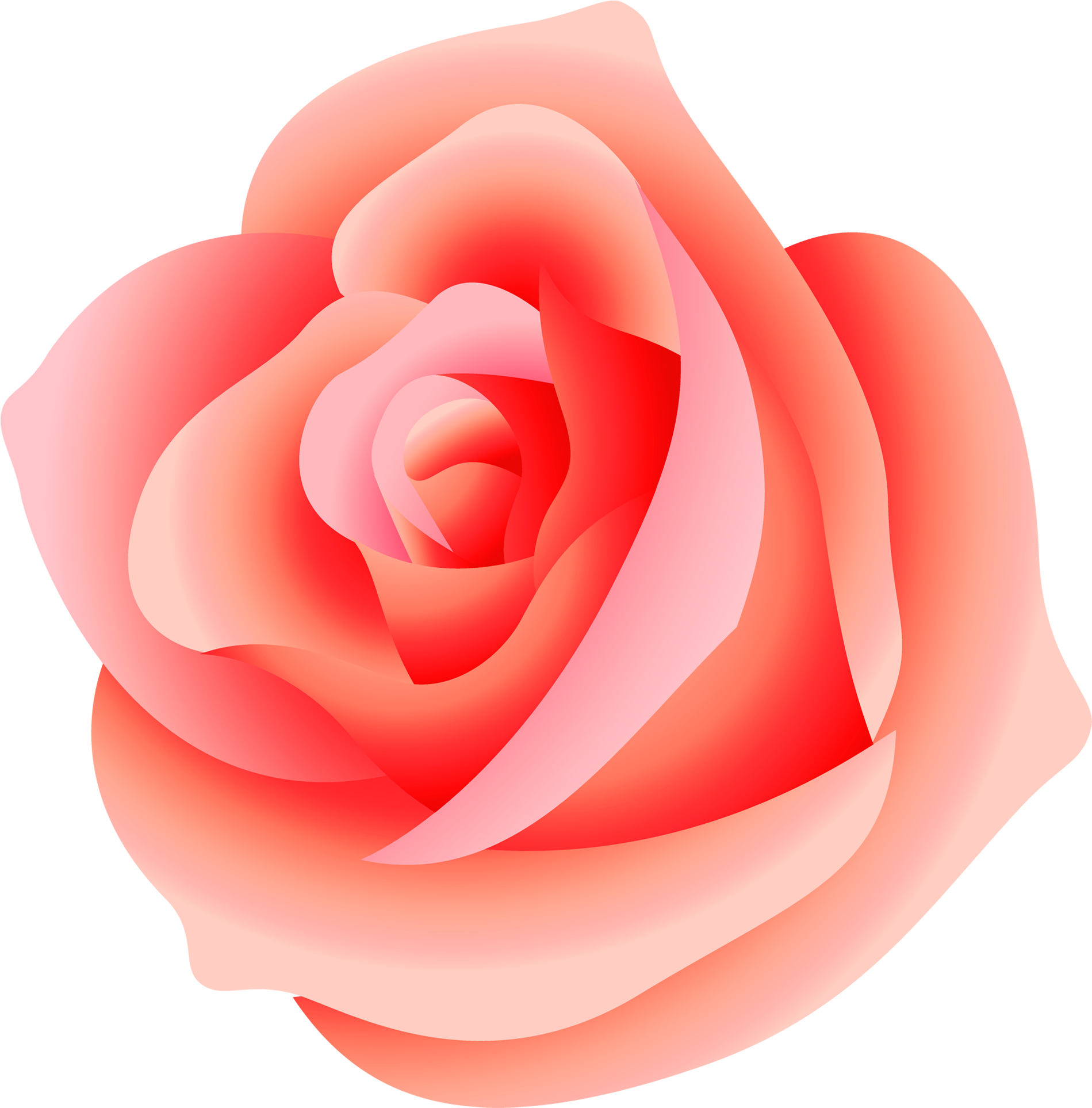 Large Rose Png Picture - Pink Rose Transparent Background (2000x2021)
