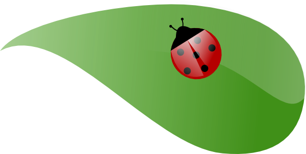 Ladybug On A Leaf Drawing - Cute Personalised Ladybug On White Tote Bag (600x302)