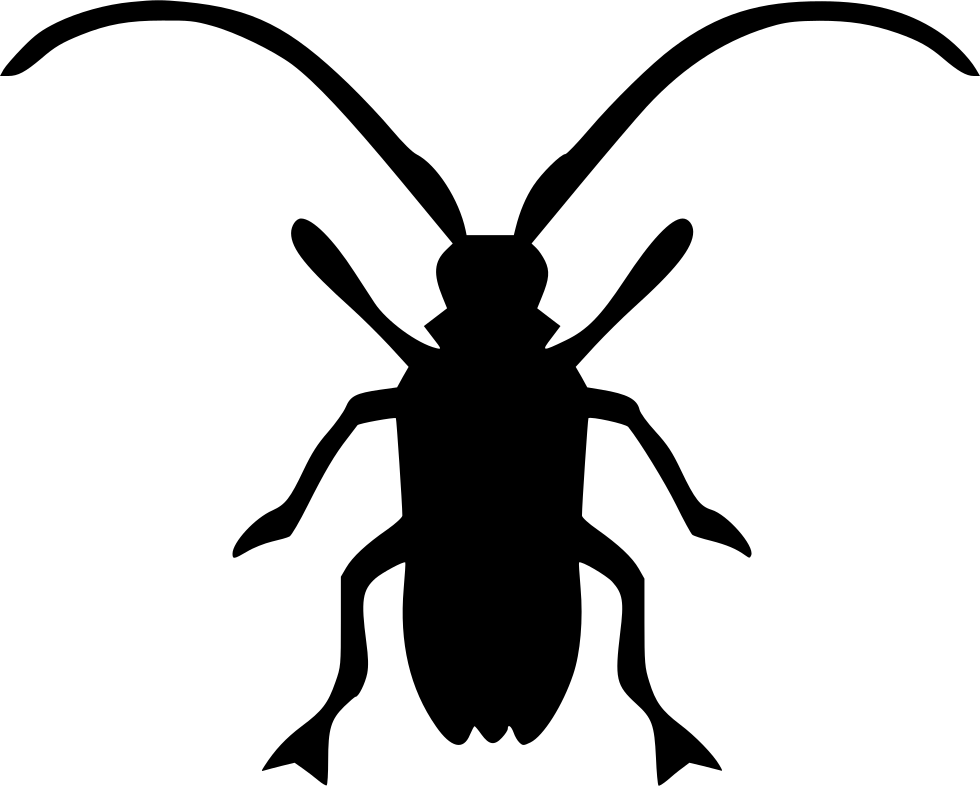 Asian Longhorned Beetle Beatle Comments - Longhorn Beetle (980x786)