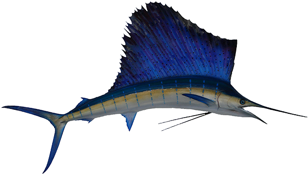 Sailfish Mount - Swordfish Mount (650x381)
