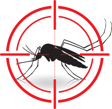 Don't Let Biting Insects Steal Your Party, Whether - Mosquito Vector (364x356)