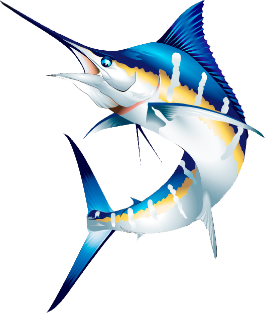 Swordfish Marlin Tuna Fishing Rods - Game Fishing (528x623)