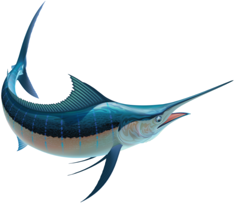 Blue Marlin Fish (512x512)