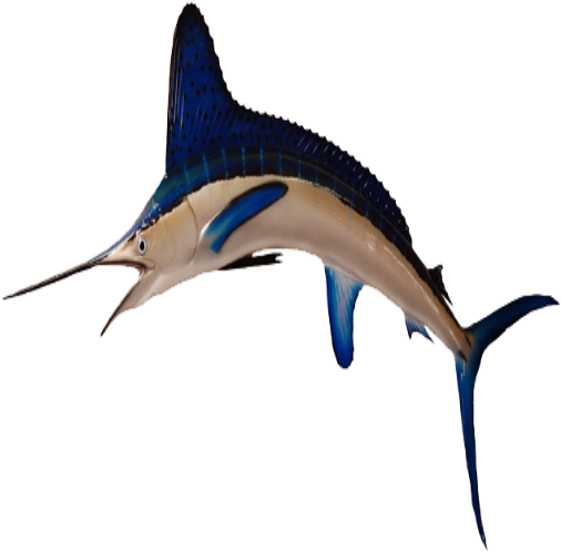 Bluefish2 - Striped Marlin (512x512)