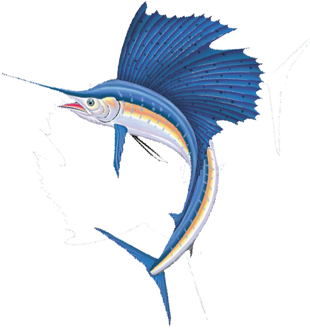 Sailfish 3 L - Sailfish Png (500x500)