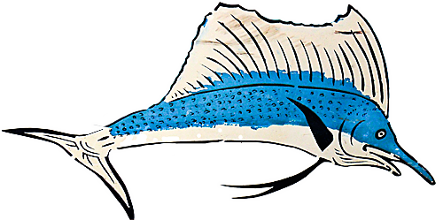 Up To The Top - Sailfish (500x249)