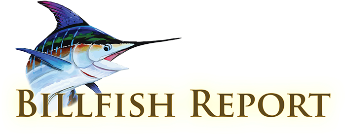 New Australian Swordfish Record - Marlin Art (700x324)