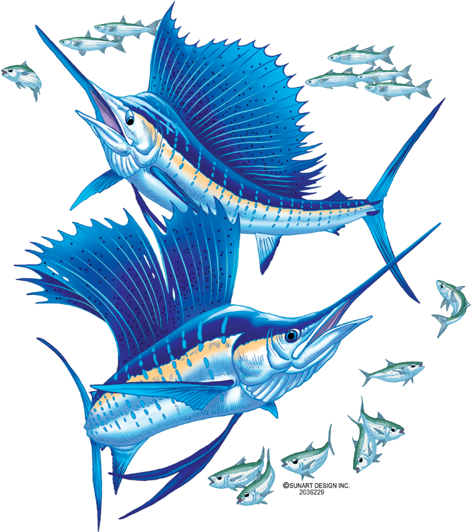 Quick View - Sailfish (680x779)