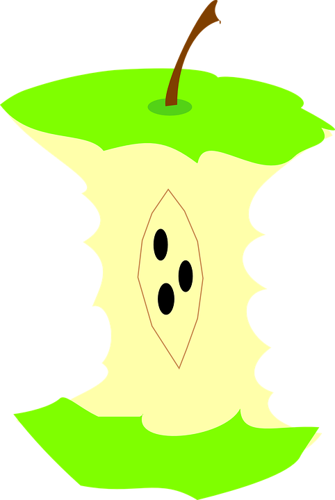 Green Apple Core Clip Art At Clker - Fruit Pit Cartoon Images Transparent Background (482x720)