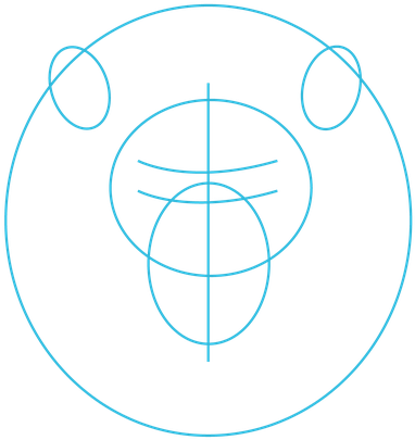 Start With Two Ovals For The Face - Circle (500x500)