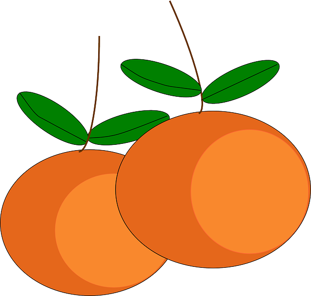 Sweet Oranges, Fruits, Citrus, Ripe, Juicy, Vitamins, - Buah Buahan Vektor (640x609)