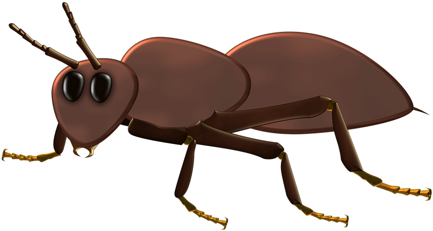 Cute Cartoon Ant - Insect (960x478)
