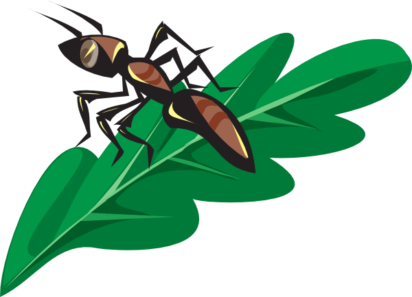 Ant Clipart Brown - Ant On The Leaf (600x433)