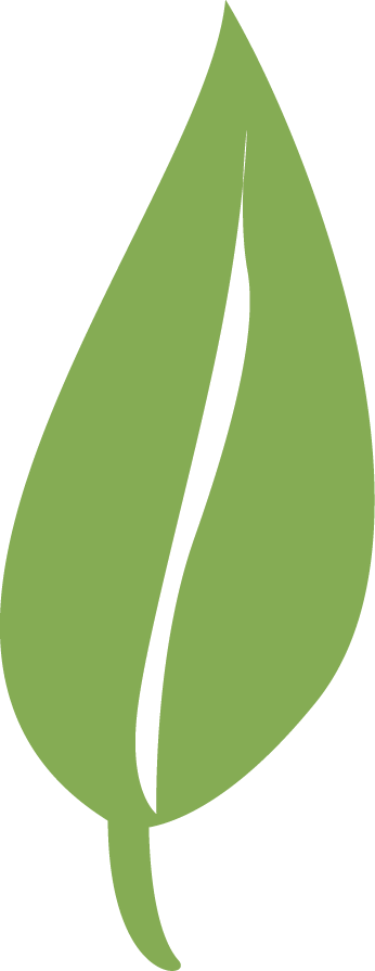 single green leaves clipart