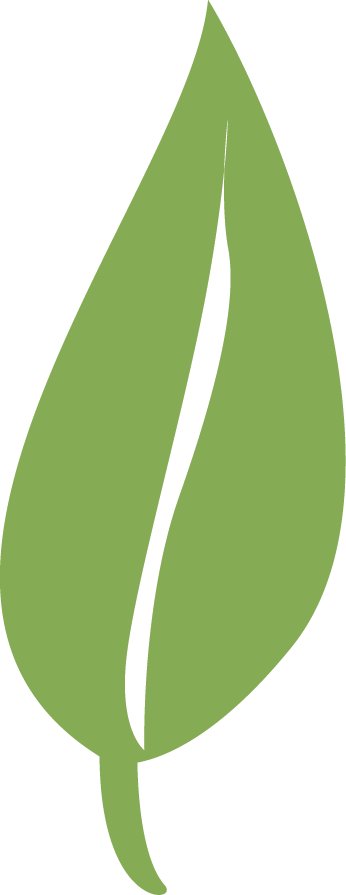 Single-leaf - Single Green Leaf Png (346x895)