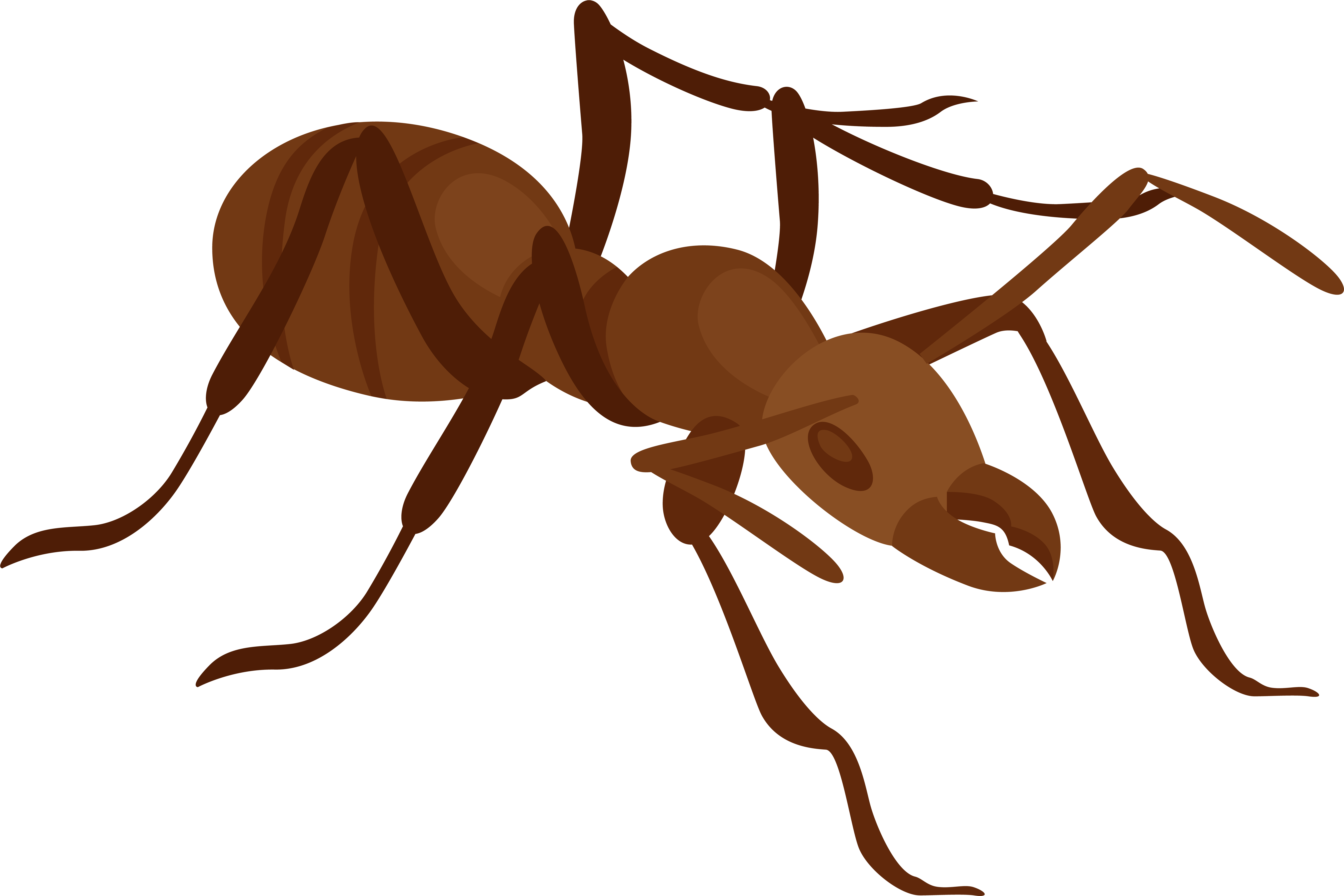 Ant Png Clip Art - Ant Clip Art Clipart (8000x5335)