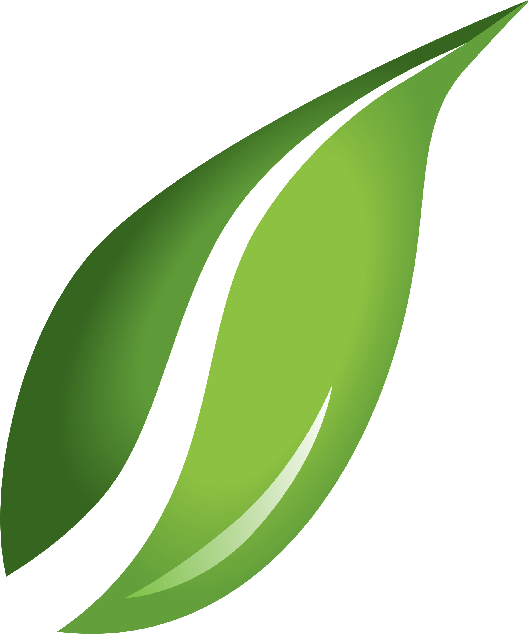 Fall Leaves Clip Art Transparent Background - Leaf Png (1885x2257)
