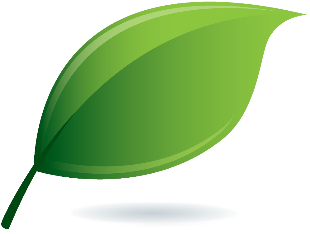 Estatements - Go Green Leaf Logo (995x752)