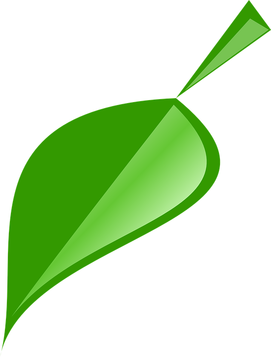 Picture Leaf - Single Neem Leaf Logo (547x720)