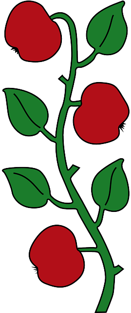 Branch Apple, Food, Fruit, Tree, Branches, Cartoon, - Affoltern Am Albis (320x640)