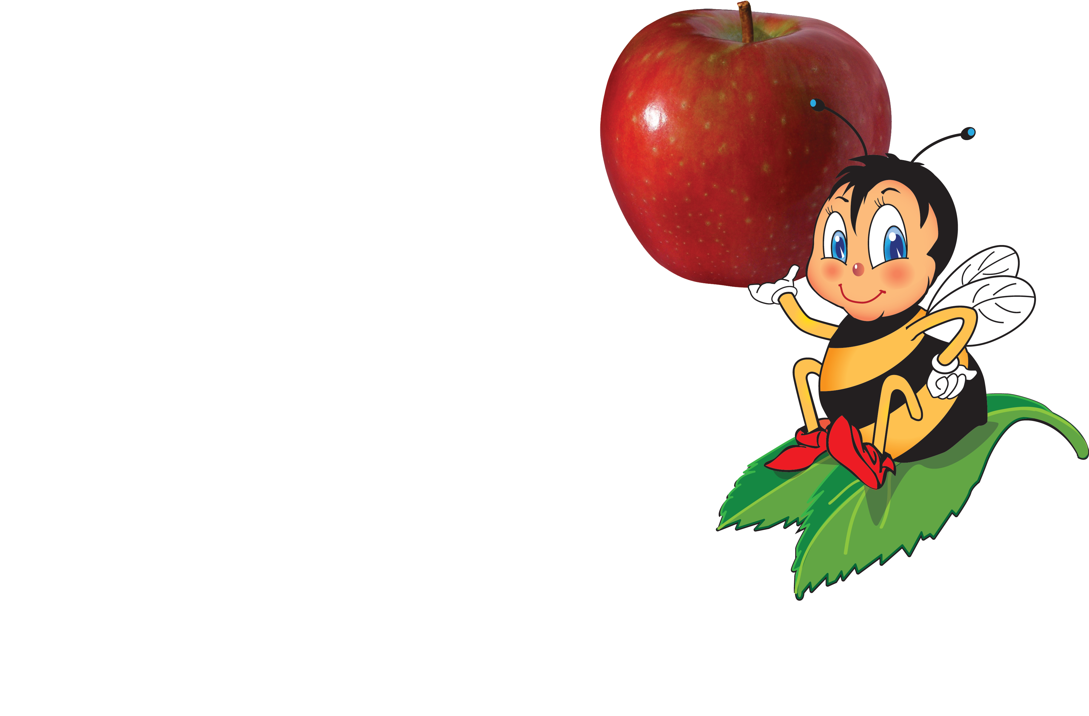 Image - Sugar Bee Apples (3650x2440)