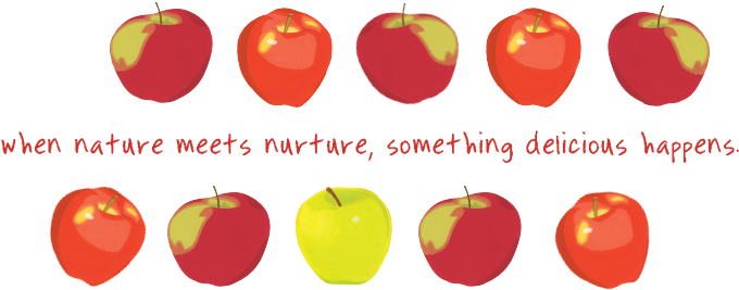 Our Founder, Greg, Watched How Farmers Took Care Of - Mcintosh (810x300)