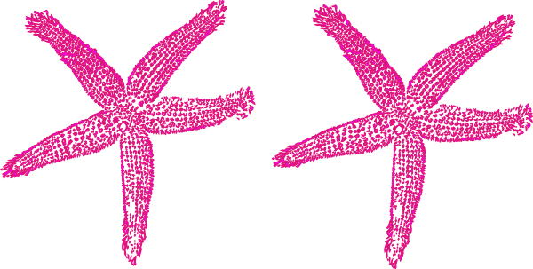 Starfish Clipart Pink Starfish - Pink Starfish Clipart (600x303)