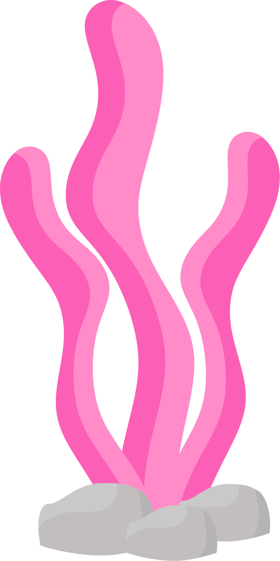 Seaweed - Pink Seaweed Clipart (960x1920)