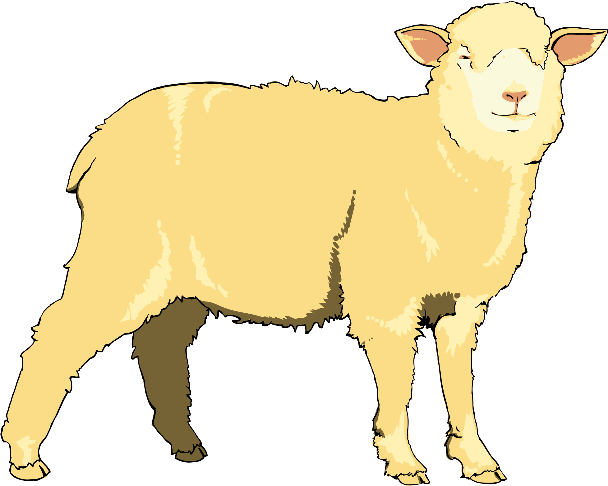 Yellow Clipart Sheep - Clip Art (2000x1623)