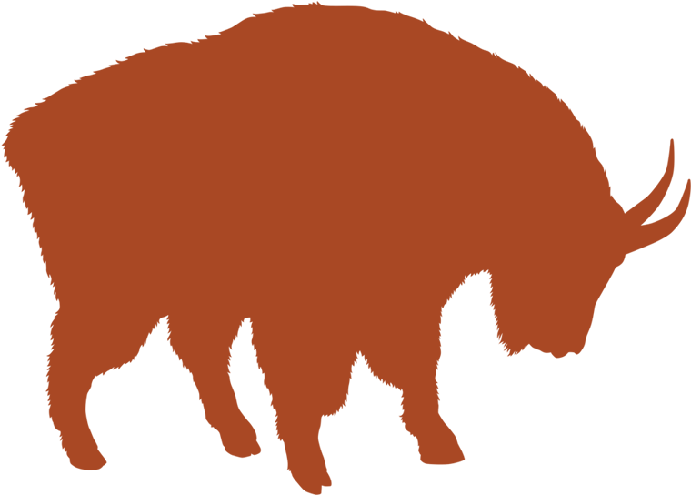 Stone Sheep - Bison (800x800)