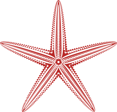 Pink Starfish Icon Clipart - Starfish (400x382)