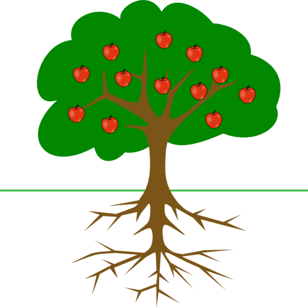 Apple Tree Clipart Apple Tree With Roots Clip Art At - Tree Clip Art (1024x1024)