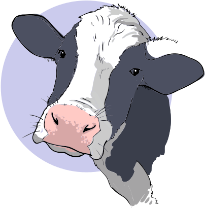 Cow - Dairy Cow Head Clip Art (425x425)