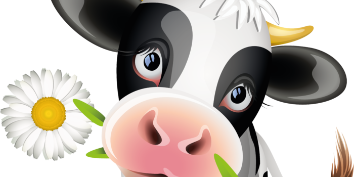 Happy Birthday With Cows (700x350)