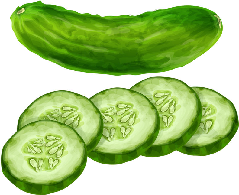 Vegetables Clipart Cucumber - Clipart Image Of Cucumber (800x649)